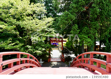 The red torii gates of Nyutsuhime Shrine 139591480