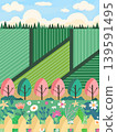 Spring fields and gardens in full bloom 139591495