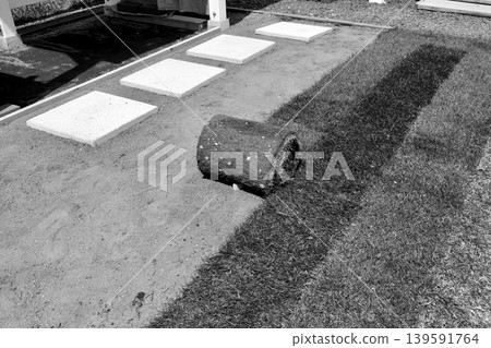 "Black and white" rolled Kentucky bluegrass turf laid in the garden. "Black and white" rolled Kentucky bluegrass turf laid in the garden. 139591764