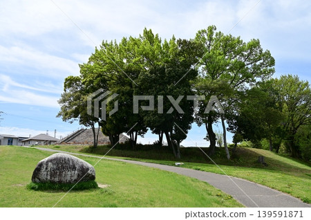 志田見墓群(愛知縣名古屋市守山區) 志田見墓群(愛知縣名古屋市守山區) 139591871