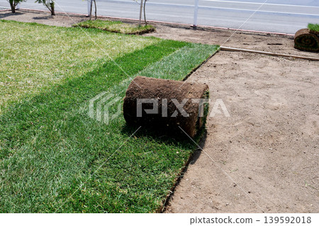 在花園裡,沿著左後方的舊草坪鋪設捲起的「肯塔基藍草」草皮。 在花園裡,沿著左後方的舊草坪鋪設捲起的「肯塔基藍草」草皮。 139592018