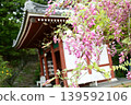 The gate of Ooe-ji Temple and the Daruma wisteria 139592106