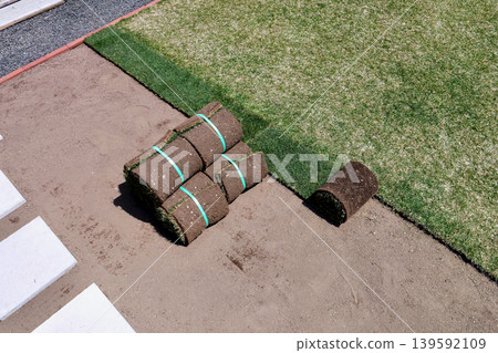 Lay rolled "Kentucky Bluegrass" turf in the garden, along the old lawn in the back right. 139592109
