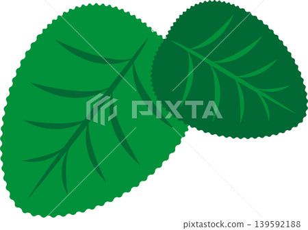 Simple leaf flat illustration Simple leaf flat illustration 139592188