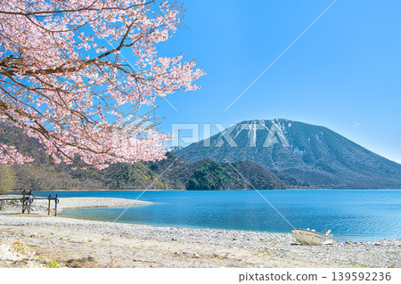A view of cherry blossoms in full bloom, Mount Nantai, and Lake Chuzenji from Senjugahama Beach in Nikko City, Tochigi Prefecture. A view of cherry blossoms in full bloom, Mount Nantai, and Lake Chuzenji from Senjugahama Beach in Nikko City, Tochigi Prefecture. 139592236