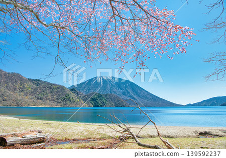 A view of cherry blossoms in full bloom, Mount Nantai, and Lake Chuzenji from Senjugahama Beach in Nikko City, Tochigi Prefecture. A view of cherry blossoms in full bloom, Mount Nantai, and Lake Chuzenji from Senjugahama Beach in Nikko City, Tochigi Prefecture. 139592237