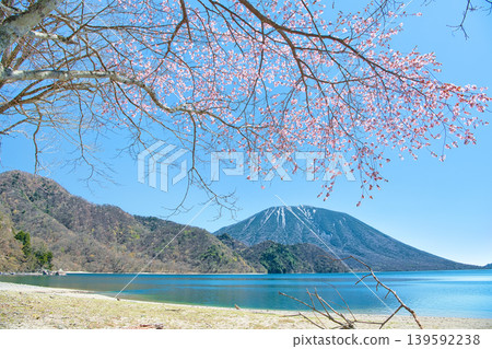 A view of cherry blossoms in full bloom, Mount Nantai, and Lake Chuzenji from Senjugahama Beach in Nikko City, Tochigi Prefecture. A view of cherry blossoms in full bloom, Mount Nantai, and Lake Chuzenji from Senjugahama Beach in Nikko City, Tochigi Prefecture. 139592238