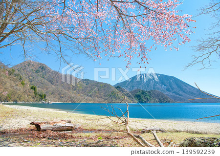 A view of cherry blossoms in full bloom, Mount Nantai, and Lake Chuzenji from Senjugahama Beach in Nikko City, Tochigi Prefecture. A view of cherry blossoms in full bloom, Mount Nantai, and Lake Chuzenji from Senjugahama Beach in Nikko City, Tochigi Prefecture. 139592239