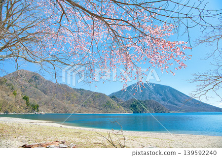 從栃木縣日光市千壽濱海灘眺望盛開的櫻花、男體山和中禪寺湖。 139592240