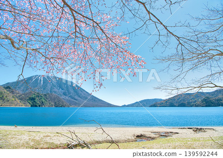 A view of cherry blossoms in full bloom, Mount Nantai, and Lake Chuzenji from Senjugahama Beach in Nikko City, Tochigi Prefecture. A view of cherry blossoms in full bloom, Mount Nantai, and Lake Chuzenji from Senjugahama Beach in Nikko City, Tochigi Prefecture. 139592244