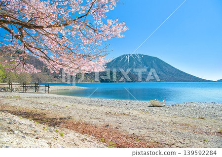 A view of cherry blossoms in full bloom, Mount Nantai, and Lake Chuzenji from Senjugahama Beach in Nikko City, Tochigi Prefecture. A view of cherry blossoms in full bloom, Mount Nantai, and Lake Chuzenji from Senjugahama Beach in Nikko City, Tochigi Prefecture. 139592284