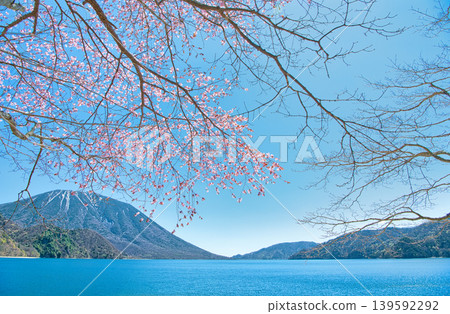 從栃木縣日光市千壽濱海灘眺望盛開的櫻花、男體山和中禪寺湖。 從栃木縣日光市千壽濱海灘眺望盛開的櫻花、男體山和中禪寺湖。 139592292