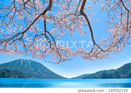 A view of cherry blossoms in full bloom, Mount Nantai, and Lake Chuzenji from Senjugahama Beach in Nikko City, Tochigi Prefecture. A view of cherry blossoms in full bloom, Mount Nantai, and Lake Chuzenji from Senjugahama Beach in Nikko City, Tochigi Prefecture. 139592330
