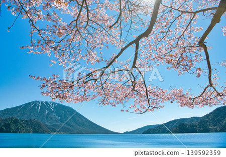 A view of cherry blossoms in full bloom, Mount Nantai, and Lake Chuzenji from Senjugahama Beach in Nikko City, Tochigi Prefecture. A view of cherry blossoms in full bloom, Mount Nantai, and Lake Chuzenji from Senjugahama Beach in Nikko City, Tochigi Prefecture. 139592359