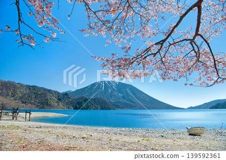 A view of cherry blossoms in full bloom, Mount Nantai, and Lake Chuzenji from Senjugahama Beach in Nikko City, Tochigi Prefecture. A view of cherry blossoms in full bloom, Mount Nantai, and Lake Chuzenji from Senjugahama Beach in Nikko City, Tochigi Prefecture. 139592361