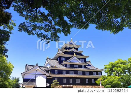 【岡山縣】岡山城主塔春季景色（令和時代大規模翻修後） 139592424