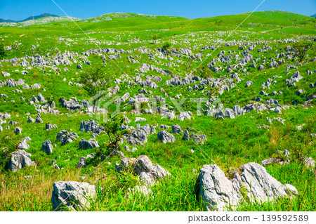 Akiyoshidai, Yamaguchi Prefecture: White limestone rocks and green karst plateau. Akiyoshidai, Yamaguchi Prefecture: White limestone rocks and green karst plateau. 139592589
