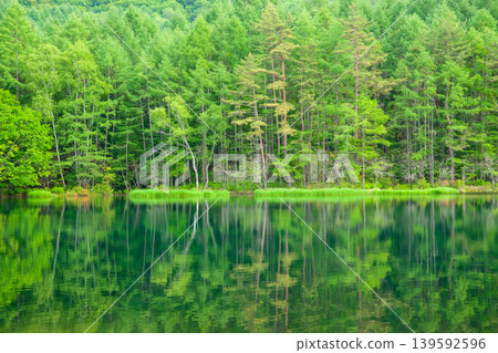 Mishaka Pond in the season of fresh green leaves Mishaka Pond in the season of fresh green leaves 139592596