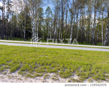 Birch forest along empty road, green grassy park landscape with blue sky and nature background 139592970