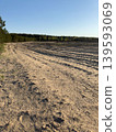 Sandy dirt road with tire tracks along pine forest, rural off-road landscape in the rays of the setting sun 139593069