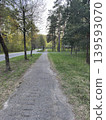 Empty park footpath along forest road, quiet walking trail among green trees 139593070