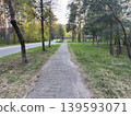 Empty pedestrian path along forest road, quiet street with green trees and nature trail in the background 139593071