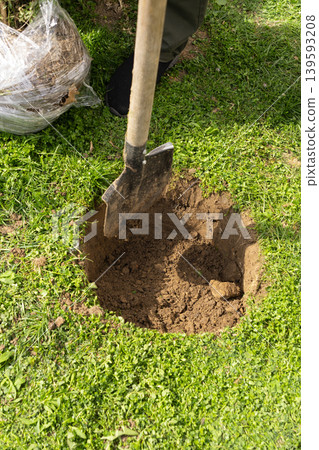 People Digging Soil to Plant Boxwood Shrub in Garden Vertical People Digging Soil to Plant Boxwood Shrub in Garden Vertical 139593208