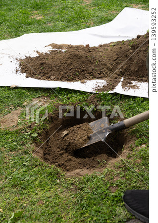People Digging Soil to Plant Boxwood Shrub in Garden Vertical People Digging Soil to Plant Boxwood Shrub in Garden Vertical 139593252