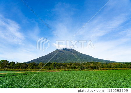北海道、羊蹄山 139593399