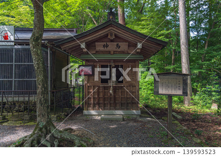 日吉大社,滋賀郡:神馬 日吉大社,滋賀郡:神馬 139593523