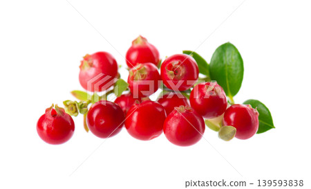 Fresh cowberry berries with leaves, isolated on white background. Ripe cranberry, cowberry, lingonberry. Clipping path. Fresh cowberry berries with leaves, isolated on white background. Ripe cranberry, cowberry, lingonberry. Clipping path. 139593838
