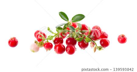 Fresh cowberry berries with leaves, isolated on white background. Ripe cranberry, cowberry, lingonberry. Clipping path. Fresh cowberry berries with leaves, isolated on white background. Ripe cranberry, cowberry, lingonberry. Clipping path. 139593842