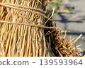 Rice straw bathed in the autumn sunlight 139593964