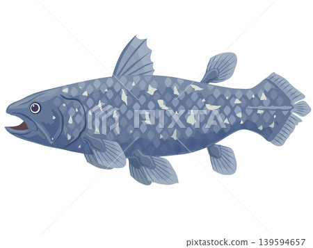 腔棘魚 139594657