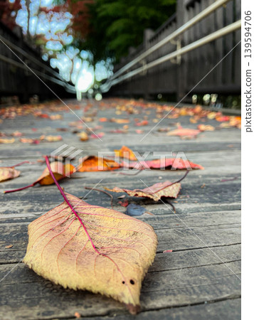 Fallen leaves scattered on a wooden bridge Fallen leaves scattered on a wooden bridge 139594706