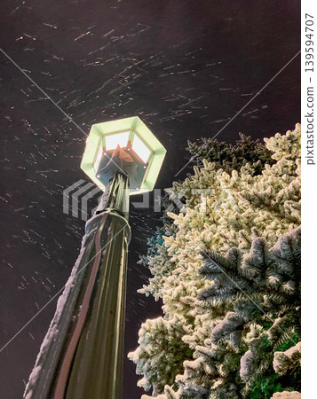 路燈和白雪皚皚的行道樹 139594707