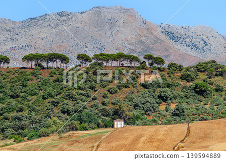 Landscape near the city of Ronda, Andalusia, Spain 139594889