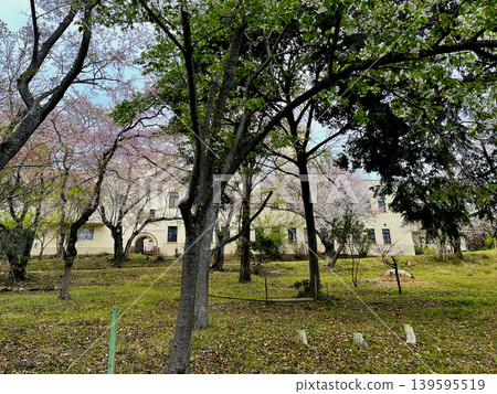 Kyoto University Abuyama Meteorological Observatory grounds Kyoto University Abuyama Meteorological Observatory grounds 139595519