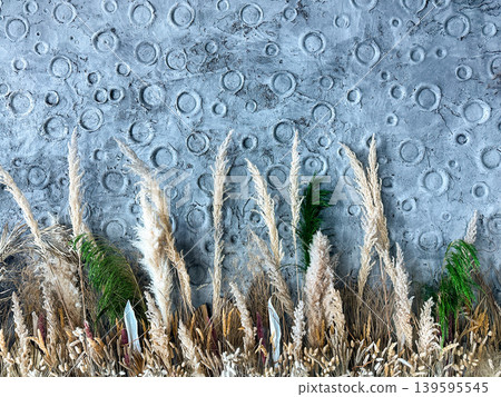 Pampas Grass Decor Against Gray Textured Stone Wall Pampas Grass Decor Against Gray Textured Stone Wall 139595545