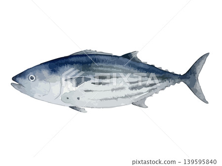 鰹魚的水彩風格插圖 鰹魚的水彩風格插圖 139595840