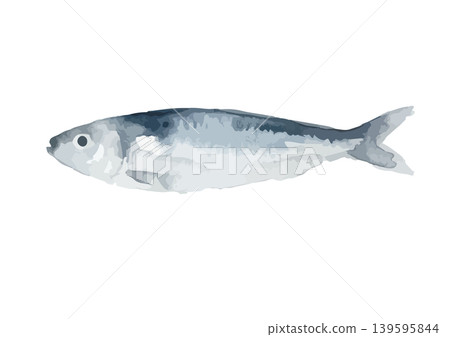 Watercolor-style illustration of a sardine Watercolor-style illustration of a sardine 139595844