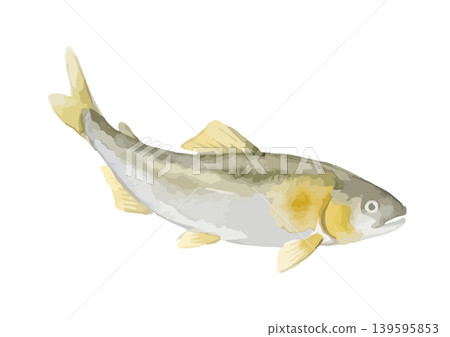 Watercolor-style illustration of ayu fish Watercolor-style illustration of ayu fish 139595853