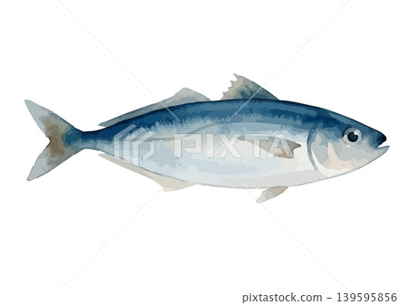 水彩風格的竹莢魚插圖 水彩風格的竹莢魚插圖 139595856