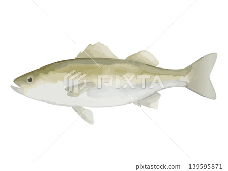 Watercolor-style illustration of Suzuki Watercolor-style illustration of Suzuki 139595871