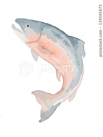 水彩風格的鮭魚插圖 水彩風格的鮭魚插圖 139595873