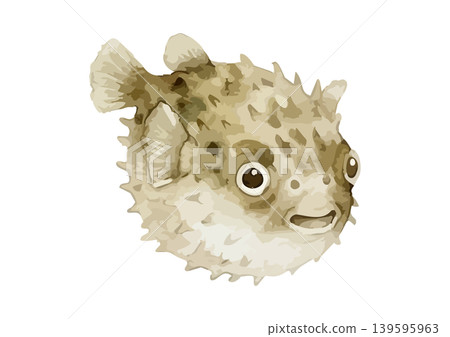 水彩風格的河豚插圖 水彩風格的河豚插圖 139595963