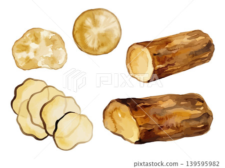 水彩風格的煙燻醃蘿蔔(iburigakko)插圖 水彩風格的煙燻醃蘿蔔(iburigakko)插圖 139595982