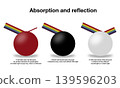 Physics infographic showing light absorption and reflection on red, black, and white surfaces. Educational illustration explaining how objects appear in different colors to human eyes 139596203
