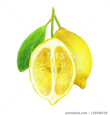 Hand drawn illustration with a yellow lemon with green leaves and a half of a lemon. Yellow lemon on a white background for graphic design. Isolated colored pencil illustration on white background. 139596536