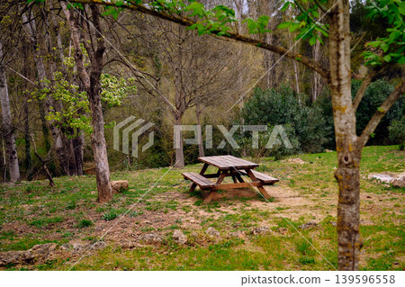 Outdoors picnic area wooden table 139596558